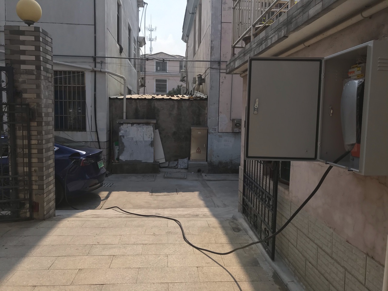 今天对于我和小三子来说是个激动的日子！终于家里有奶了。😁🌻 - 图片 7