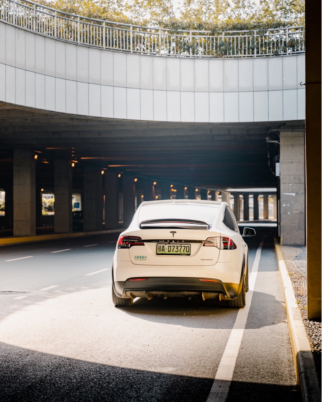 闲来没事拍拍照📷 - 图片 3