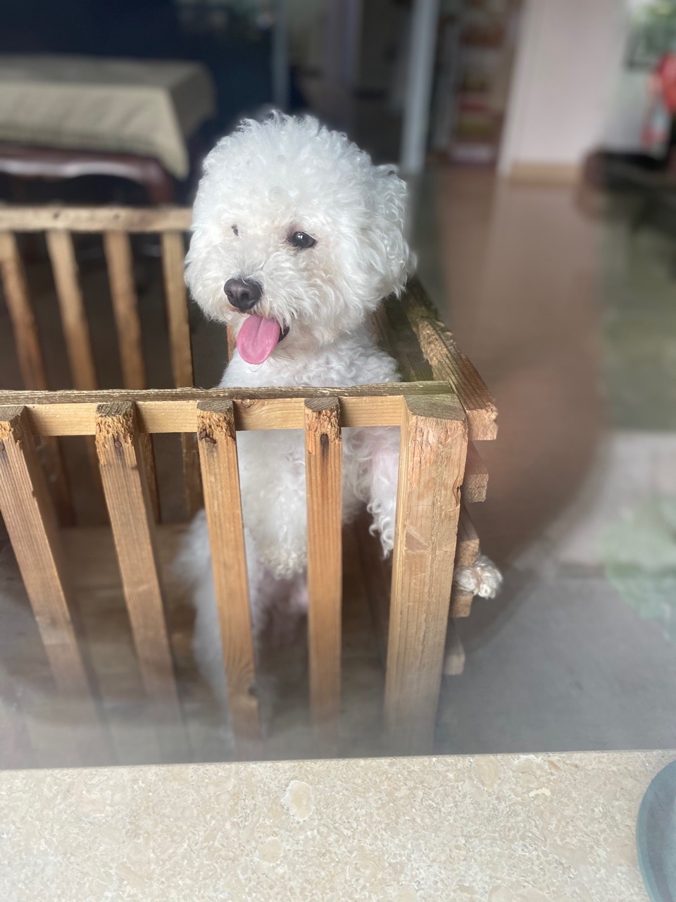 HXDM，有没有北京车友群，求拉谢谢！
福利就上我们家🐶吧 - 图片 1