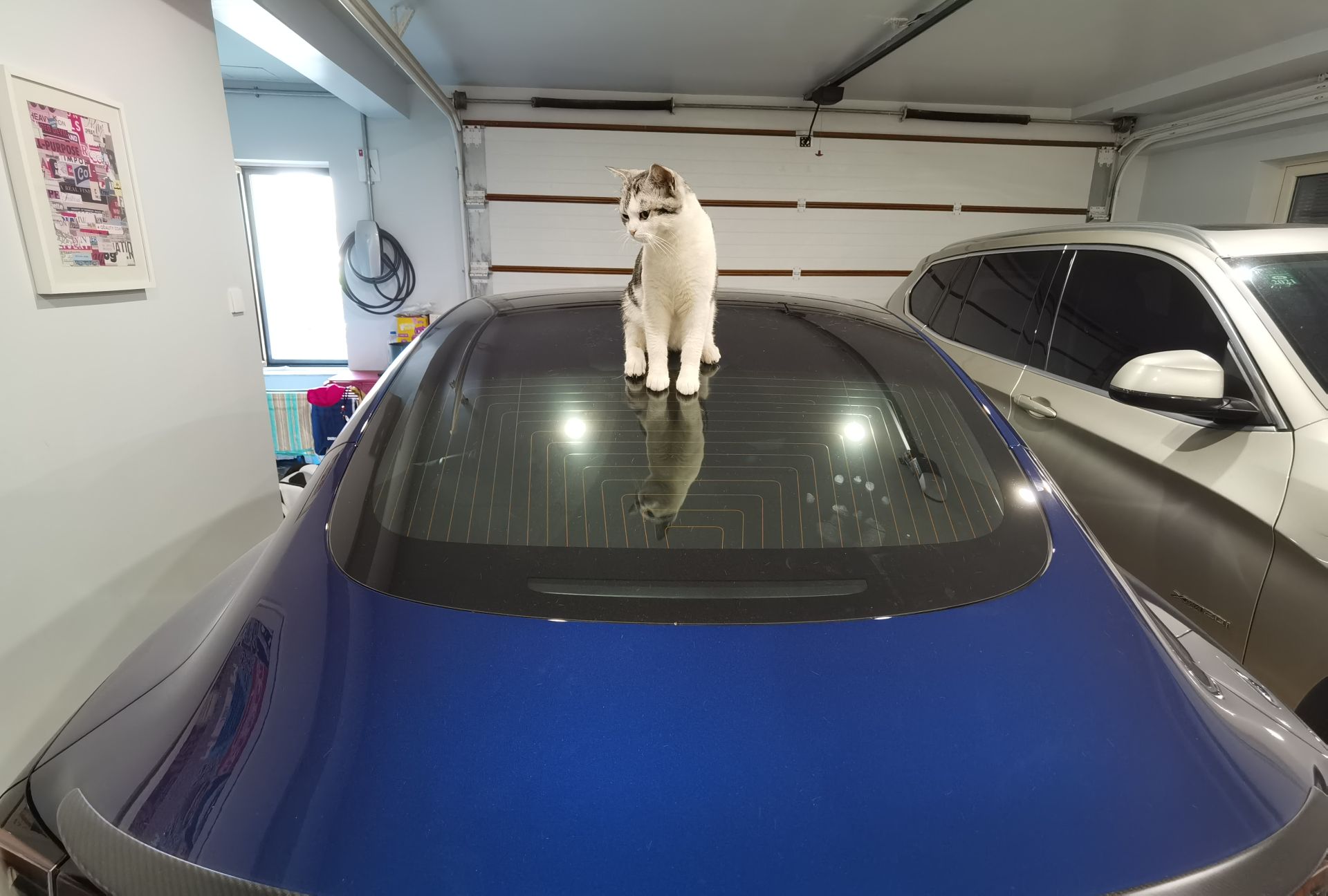 好久没更新了。一共花了158块钱，自制了128G，M2移动硬盘用于特斯拉哨兵模式。硬盘盒自带散热硅脂和散热片。用Mac系统做了格式化，win的格式化工具识别不了。有主控的芯片，应该寿命能长点吧。 - 图片 5