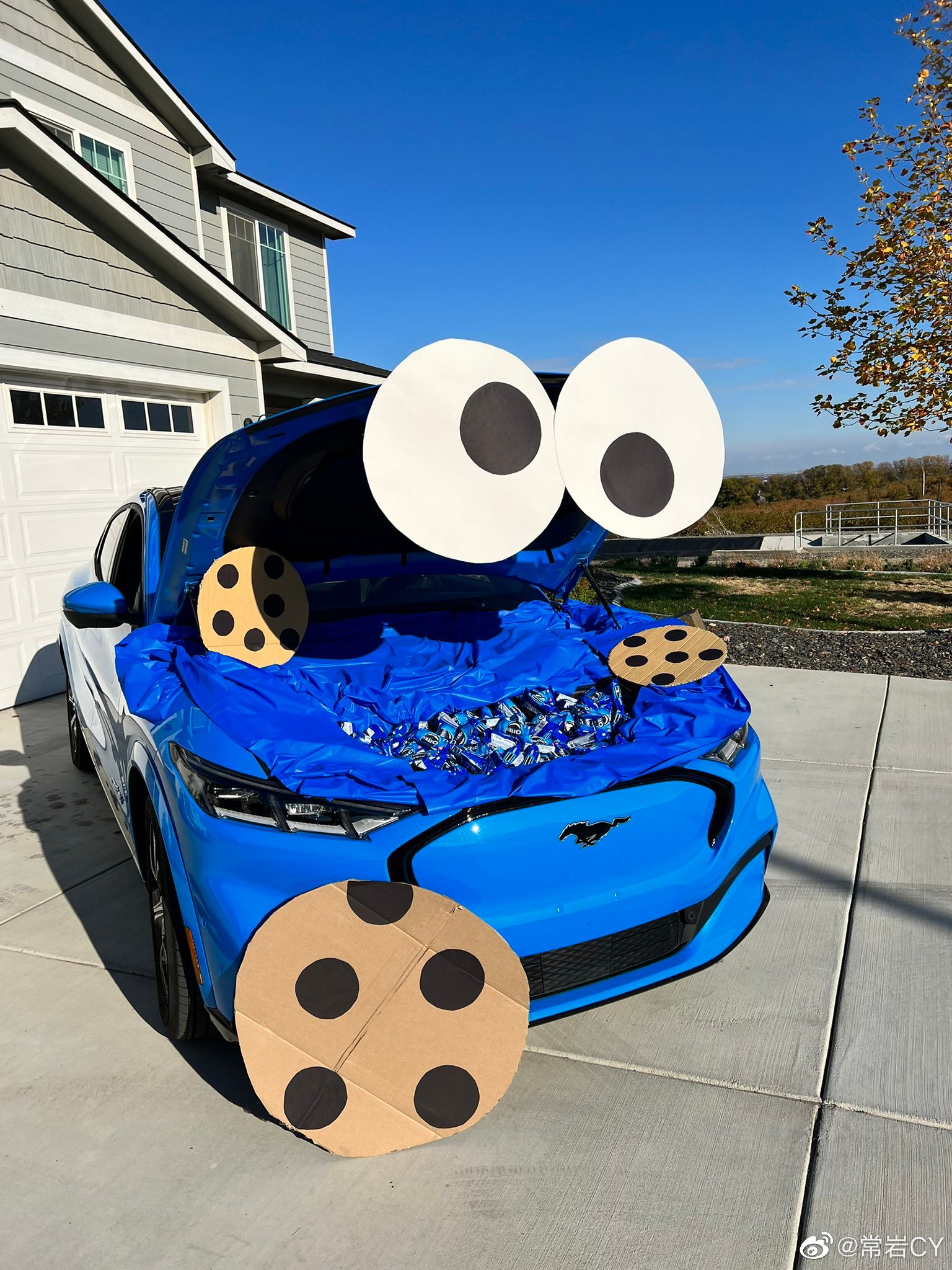 我今年见得最不吓人的万圣节装扮：Mach-E装成奥利奥  - 图片 2