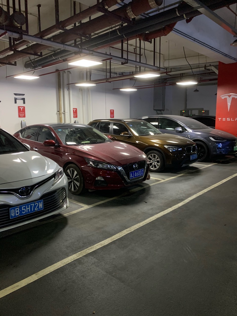 欢乐海岸，这些冚家铲 - 图片 1