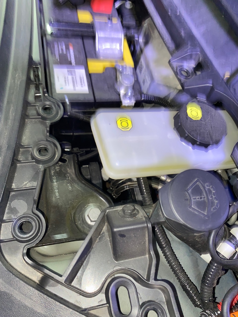 打开前盖，一股臭味。坐车内开着空调闻，味道却没那么大。是不是壁虎挂了，在车头。。（空调滤芯用了快一年） - 图片 2