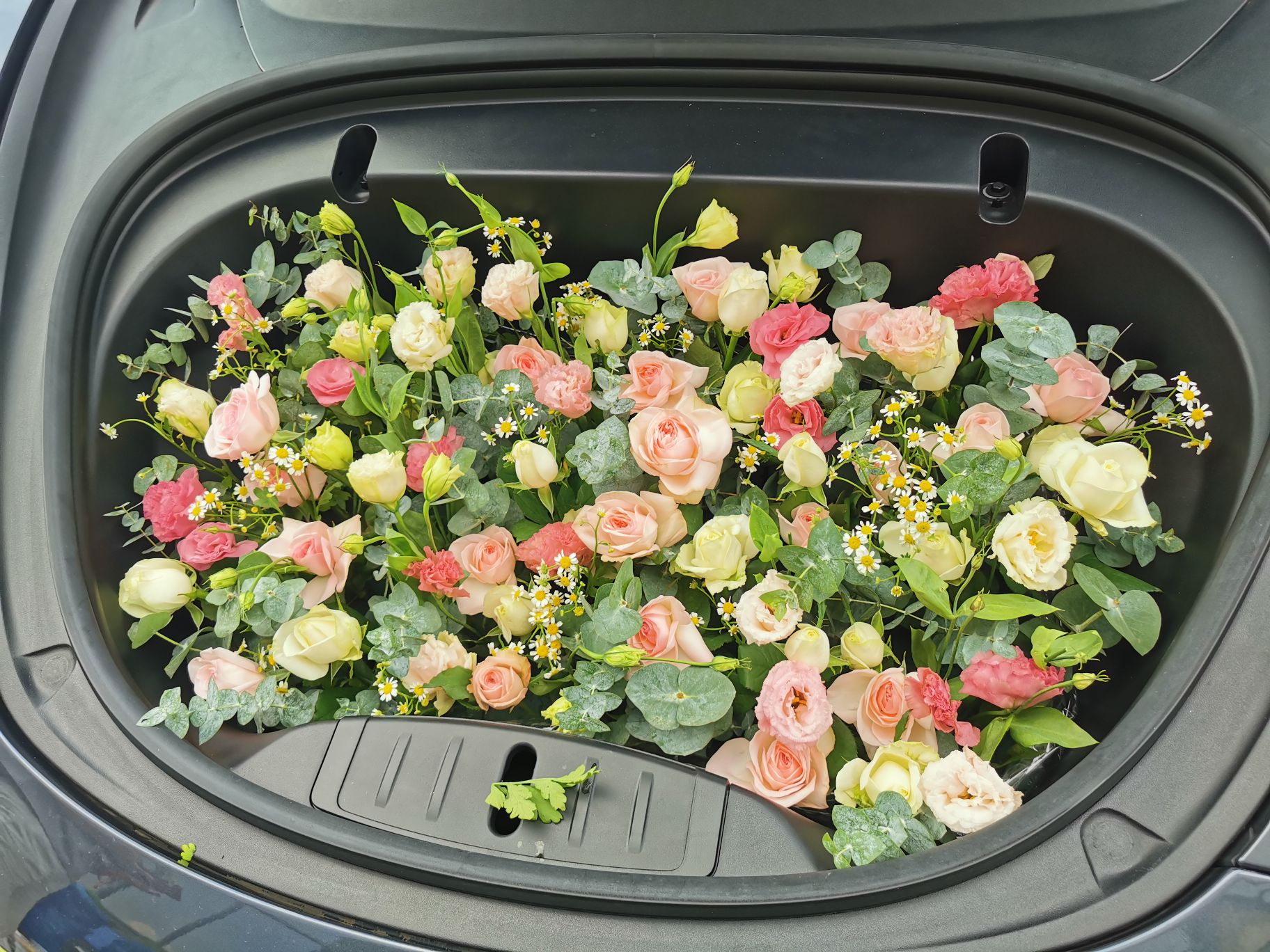 今日车不补电，给车加满浪漫…园区买花的可以找我了，一共花了300块钱… - 图片 5