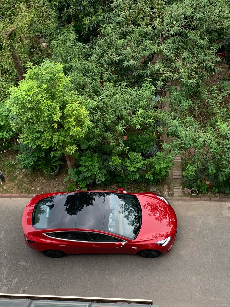 晚饭来个西红柿韭菜馅儿饺子庆祝一下 - 图片 1