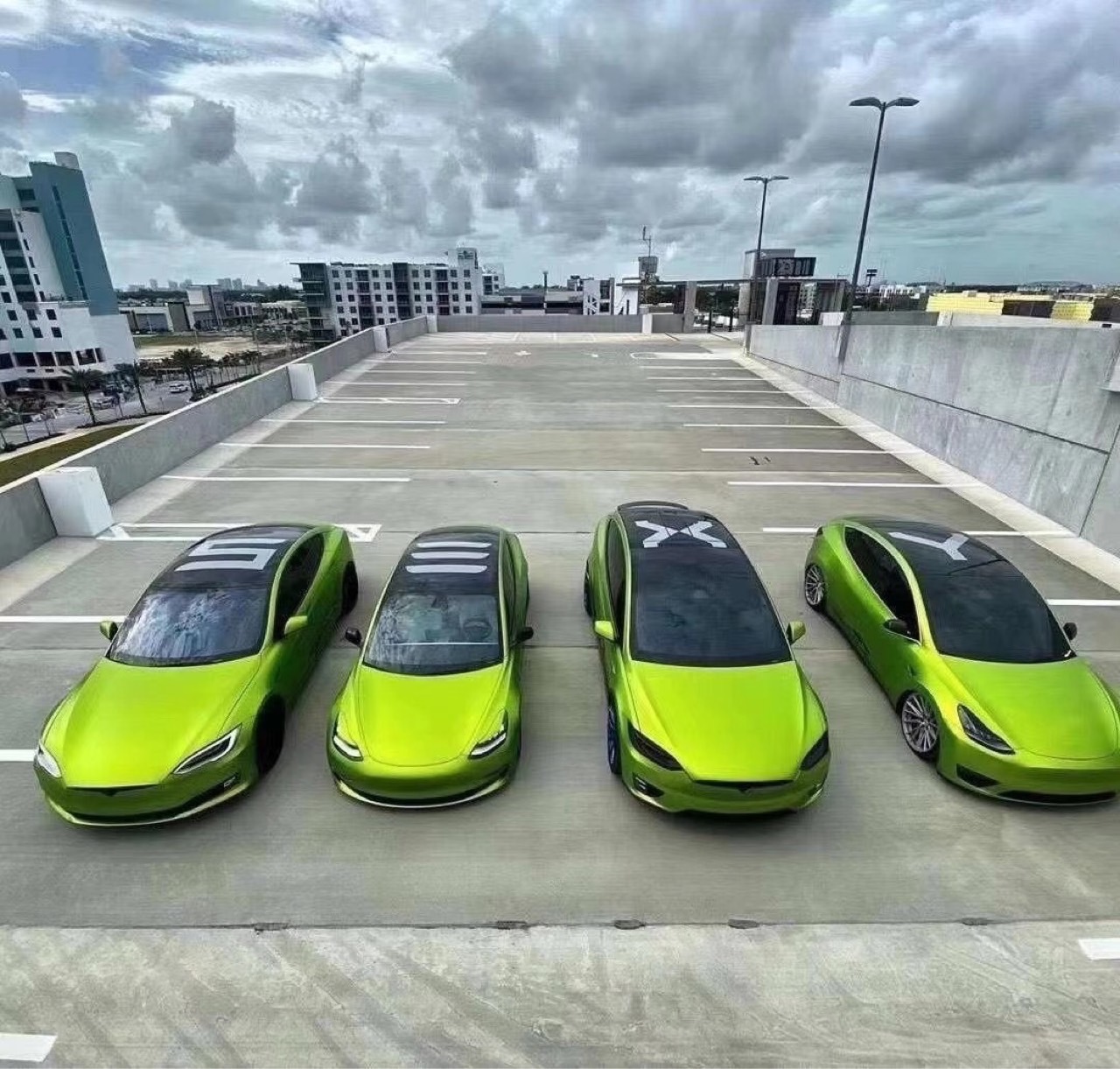 帅帅的baby - 图片 1