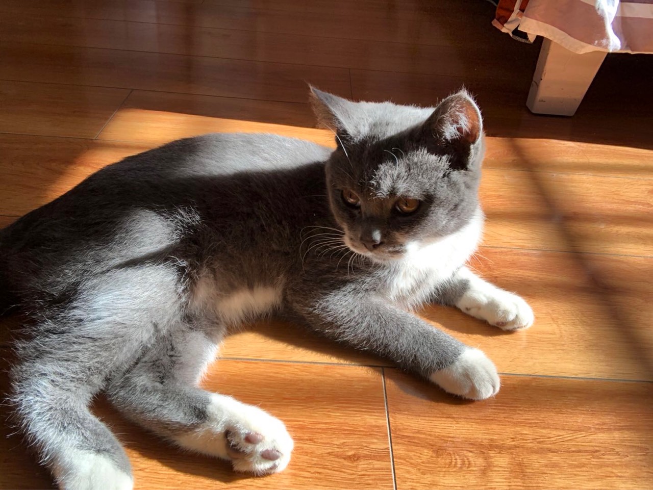 我寻思我也看不懂咋算的 - 图片 3