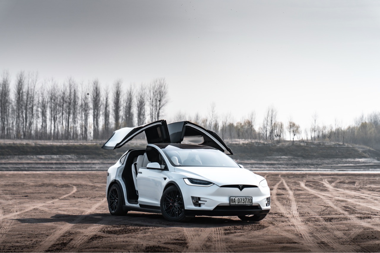 闲来没事拍拍照📷 - 图片 2