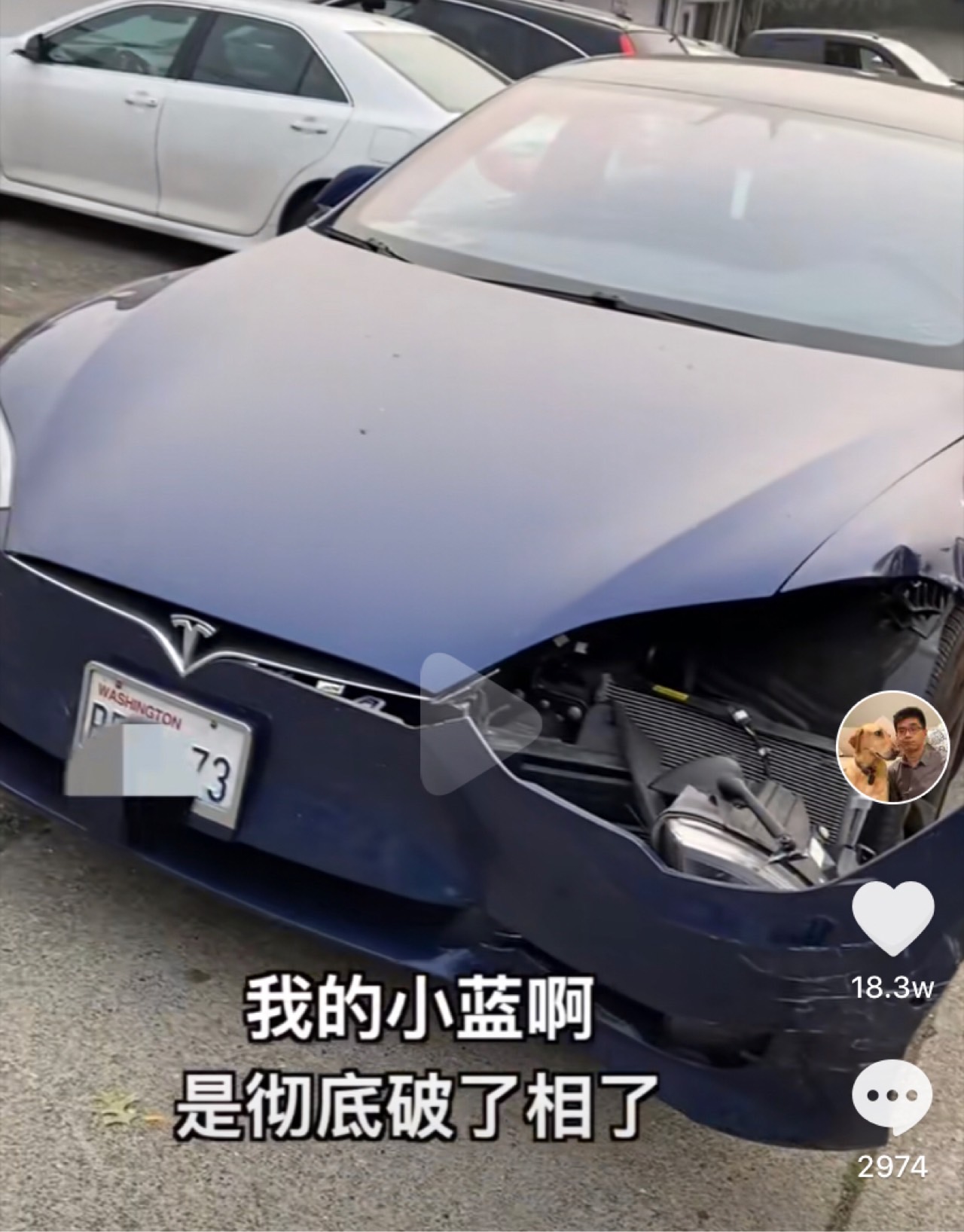 保罗好惨💦 - 图片1