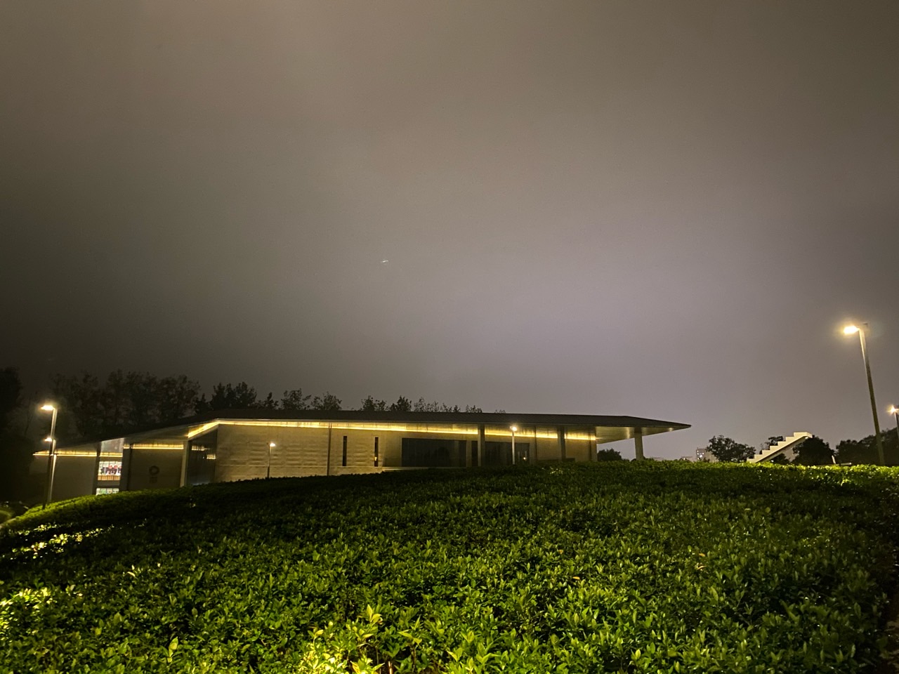 有没有泰安，济南的model3车友群，求拉 - 图片 1