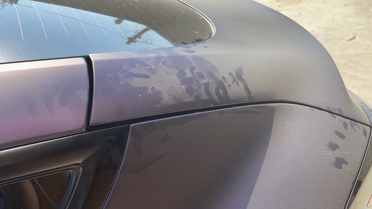 model3后备箱单侧缝隙大，车友们也这样吗？ - 图片 1